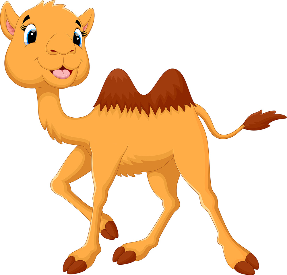 alice-the-camel.jpg