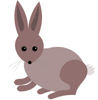 little-peter-rabbit.jpg