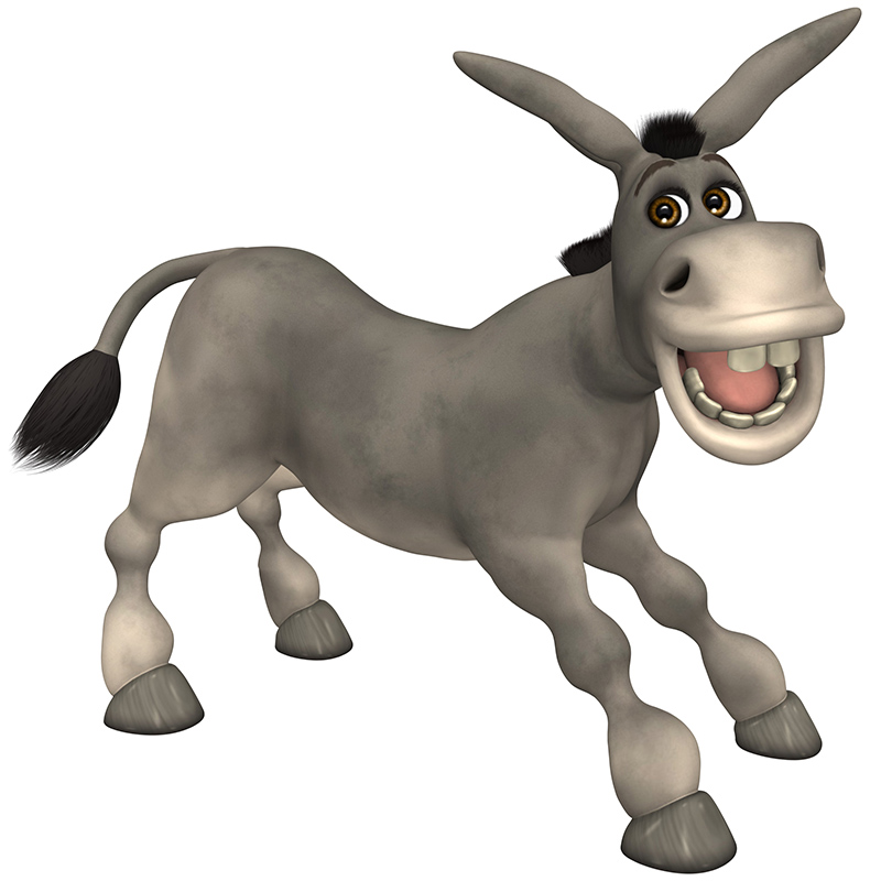 if-i-had-a-donkey.jpg